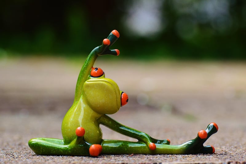 Fitness Coaching Image